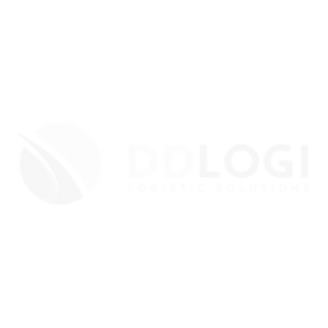 ddlogi-1-1